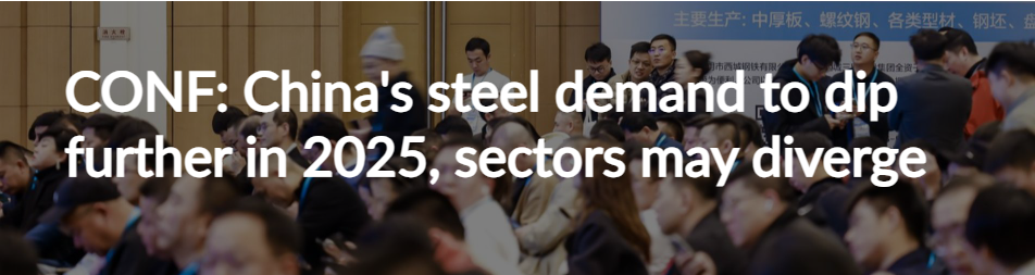 CONF: Chinas steel demand to dip further in 2025, sectors may diverge