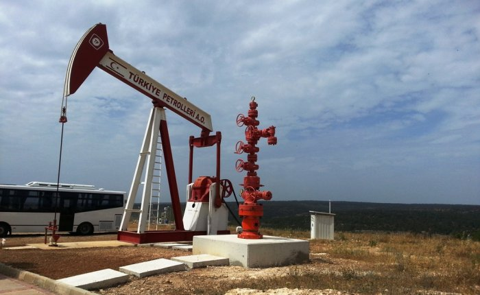 Türkiye TPAO Oil and Gas Project